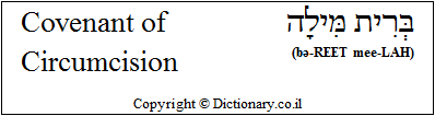 Covenant of<br>Circumcision