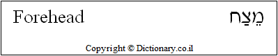 'Forehead' in Hebrew