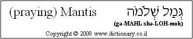 'Mantis' in Hebrew