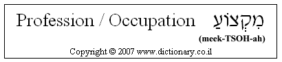 'Profession / Occupation' in Hebrew