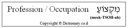 Profession / Occupation