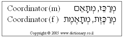 'Coordinator' in Hebrew