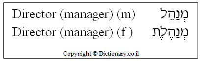 Director (manager)