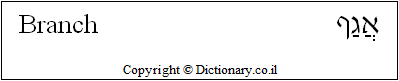 'Branch' in Hebrew 'Branch' in Hebrew
