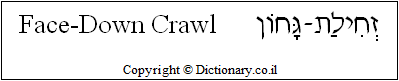 'Face-Down Crawl' in Hebrew 'Face-Down Crawl' in Hebrew