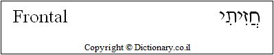 'Frontal' in Hebrew 'Frontal' in Hebrew