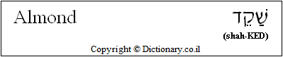 'Almond' in Hebrew 'Almond' in Hebrew
