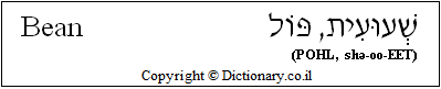 'Bean' in Hebrew 'Bean' in Hebrew