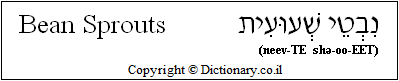 'Bean Sprouts' in Hebrew 'Bean Sprouts' in Hebrew