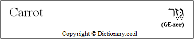 'Carrot' in Hebrew 'Carrot' in Hebrew