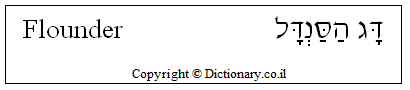 'Flounder' in Hebrew 'Flounder' in Hebrew
