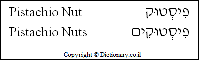 'Pistachio Nut' in Hebrew 'Pistachio Nut' in Hebrew