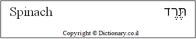 'Spinach' in Hebrew 'Spinach' in Hebrew