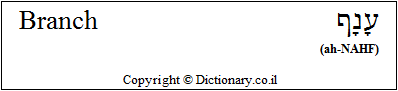 'Branch' in Hebrew 'Branch' in Hebrew