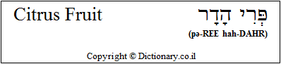 'Citrus Fruit' in Hebrew 'Citrus Fruit' in Hebrew