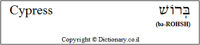 'Cypress' in Hebrew 'Cypress' in Hebrew