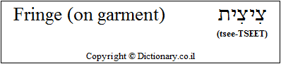 'Fringed Garment' in Hebrew 'Fringed Garment' in Hebrew