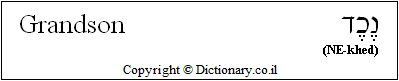 'Grandson' in Hebrew 'Grandson' in Hebrew
