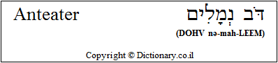 'Anteater' in Hebrew 'Anteater' in Hebrew
