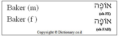 'Baker' in Hebrew 'Baker' in Hebrew
