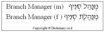 'Branch Manager' in Hebrew 'Branch Manager' in Hebrew