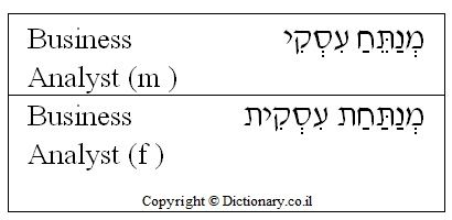'Business Analyst' in Hebrew 'Business Analyst' in Hebrew
