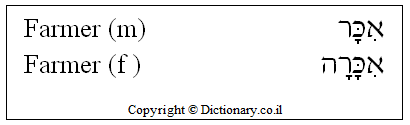 'Farmer' in Hebrew 'Farmer' in Hebrew